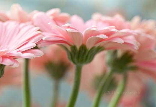 643114 (a): :3500x2400